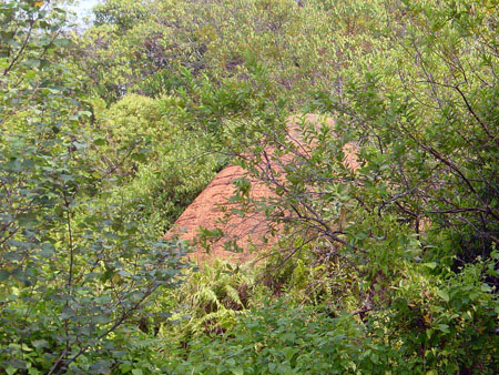 0102_bintan_05