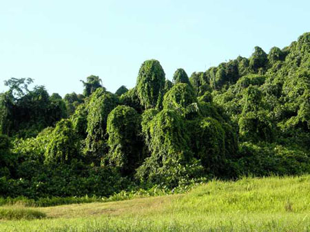 bukit_batok_07