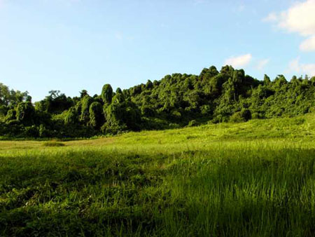 bukit_batok_09