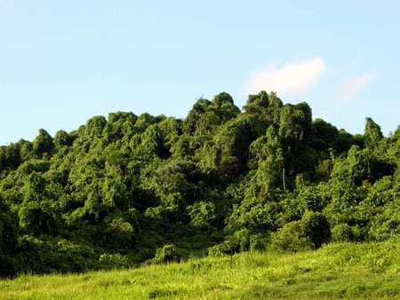 bukit_batok_10