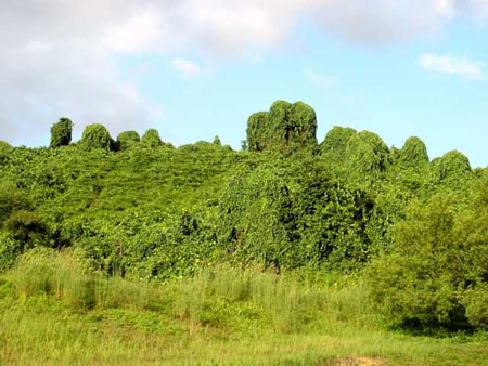 bukit_batok_11