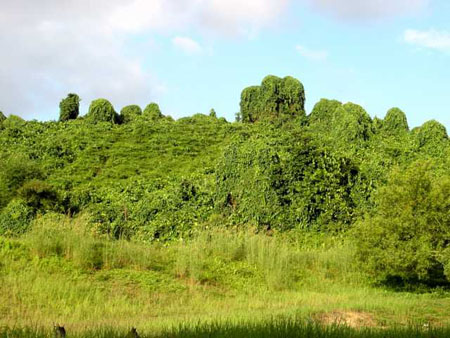 bukit_batok_12