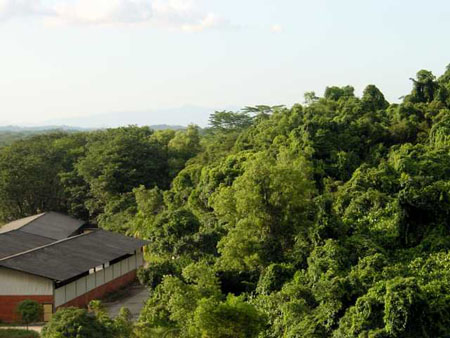 bukit_batok_15