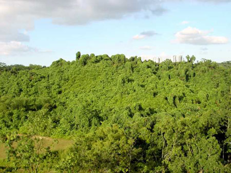 bukit_batok_17