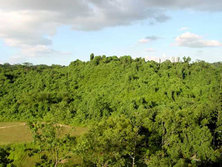 bukit_batok_19