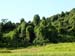 bukit_batok_07