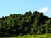 bukit_batok_08
