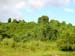 bukit_batok_11