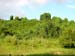 bukit_batok_12