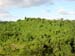 bukit_batok_17