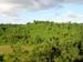 bukit_batok_19