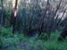 illawarra_20