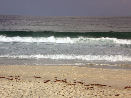 shellharbour_6