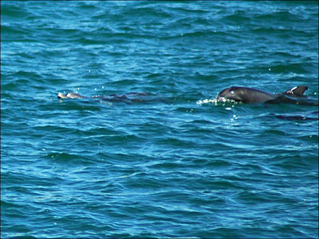 jervis_bay_26
