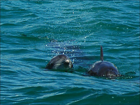 jervis_bay_30