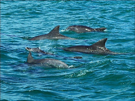 jervis_bay_35