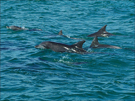 jervis_bay_36