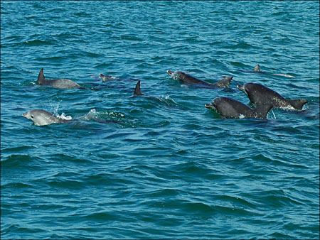 jervis_bay_37