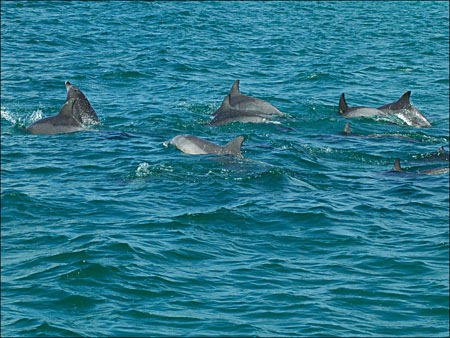 jervis_bay_39