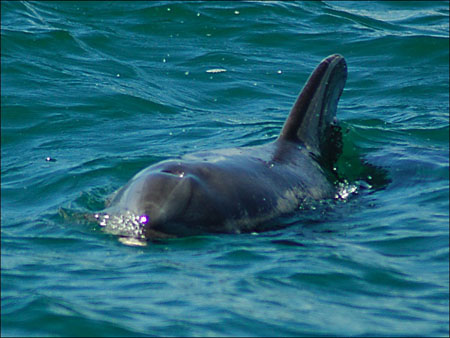 jervis_bay_44