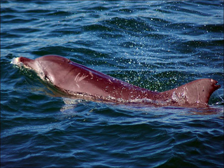 jervis_bay_47