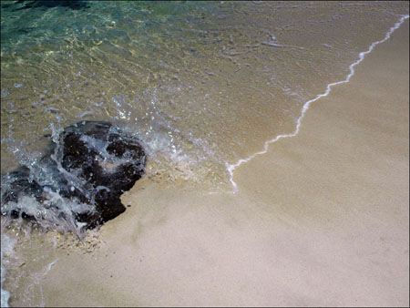 jervis_bay_86