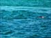 jervis_bay_25