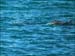 jervis_bay_26