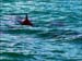 jervis_bay_27