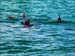 jervis_bay_29