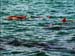 jervis_bay_31