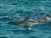 jervis_bay_32