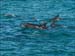 jervis_bay_36