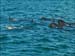 jervis_bay_37