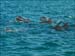 jervis_bay_38