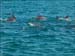 jervis_bay_39