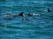 jervis_bay_41