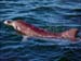 jervis_bay_47