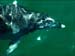 jervis_bay_51