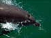 jervis_bay_52