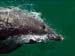 jervis_bay_53