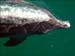 jervis_bay_55