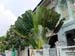 joo_chiat_jl_35