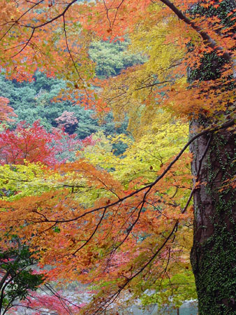 kyoto_excursion_088