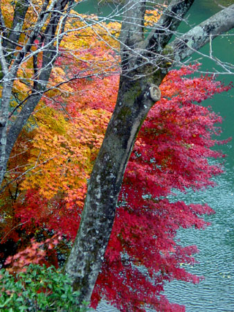 kyoto_excursion_099