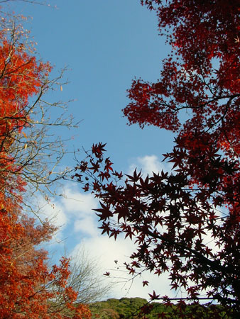 kyoto_temple_1_44