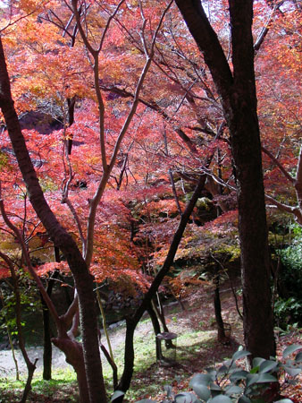 kyoto_temple_1_48