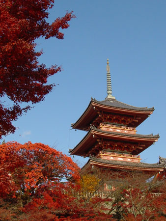 kyoto_temple_1_50
