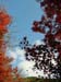 kyoto_temple_1_44