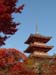 kyoto_temple_1_50